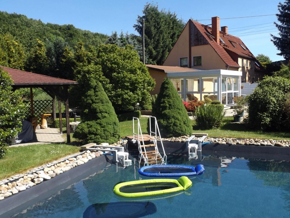 Cosy Apartment With In Pirna With Private Terrace חדר תמונה