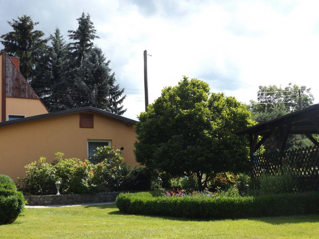 Cosy Apartment With In Pirna With Private Terrace מראה חיצוני תמונה